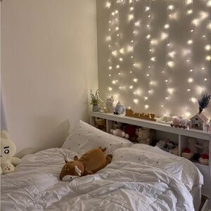 Meet your Posher, Lorelei